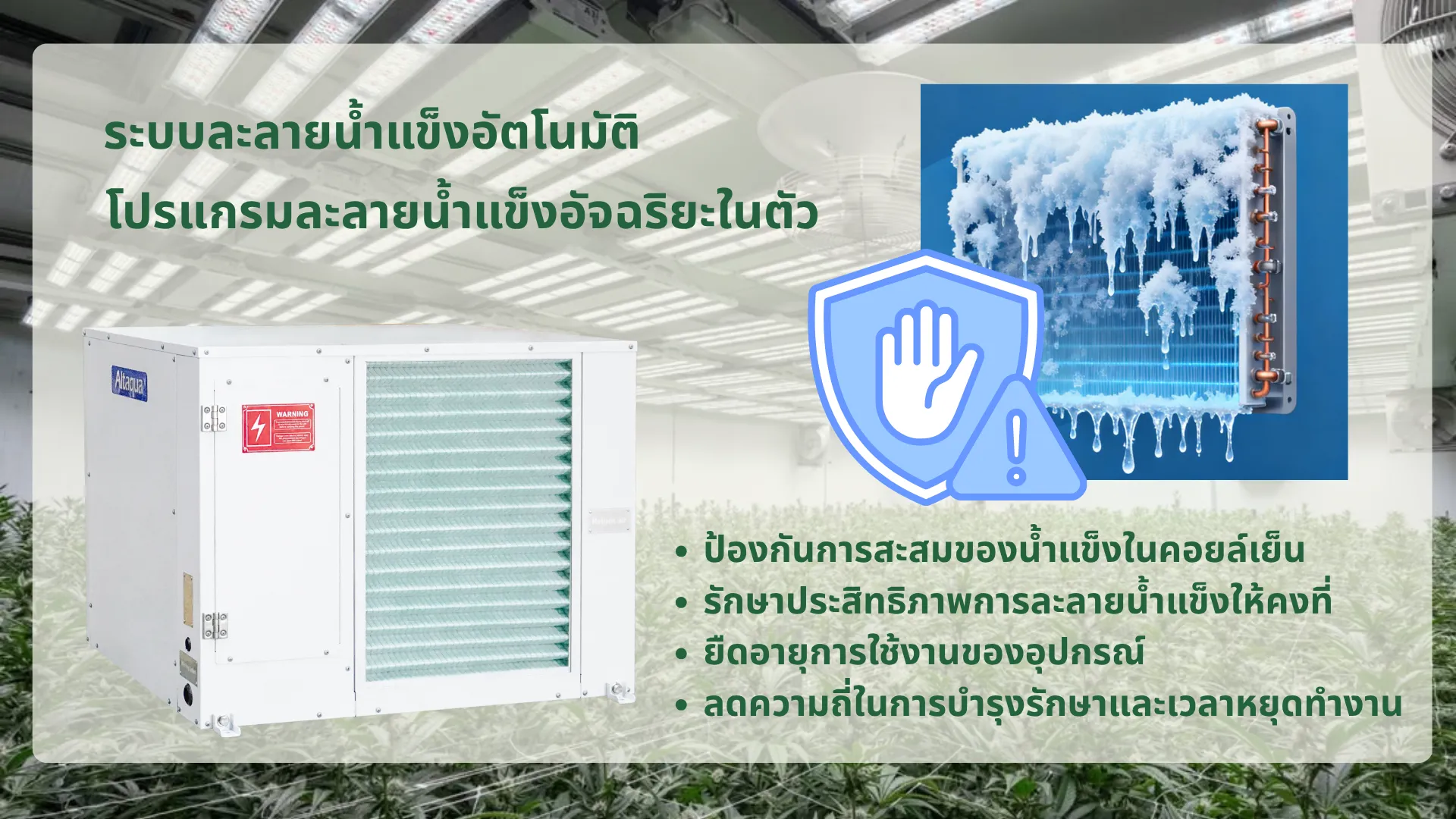 Altaqua-commercial-grow-room-dehumidifier-Automatic-Defrost-Support